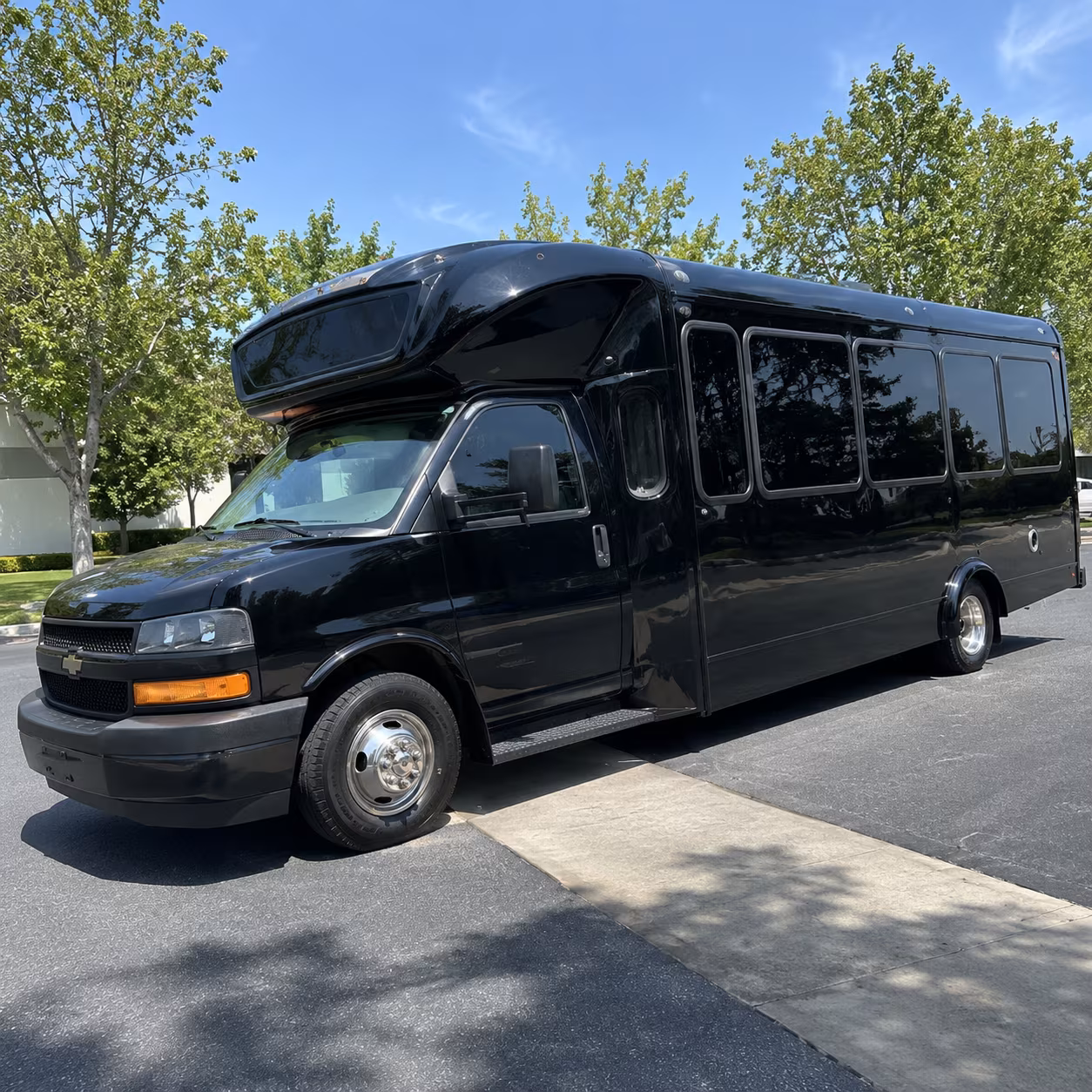 ann arbor 15 passenger party bus