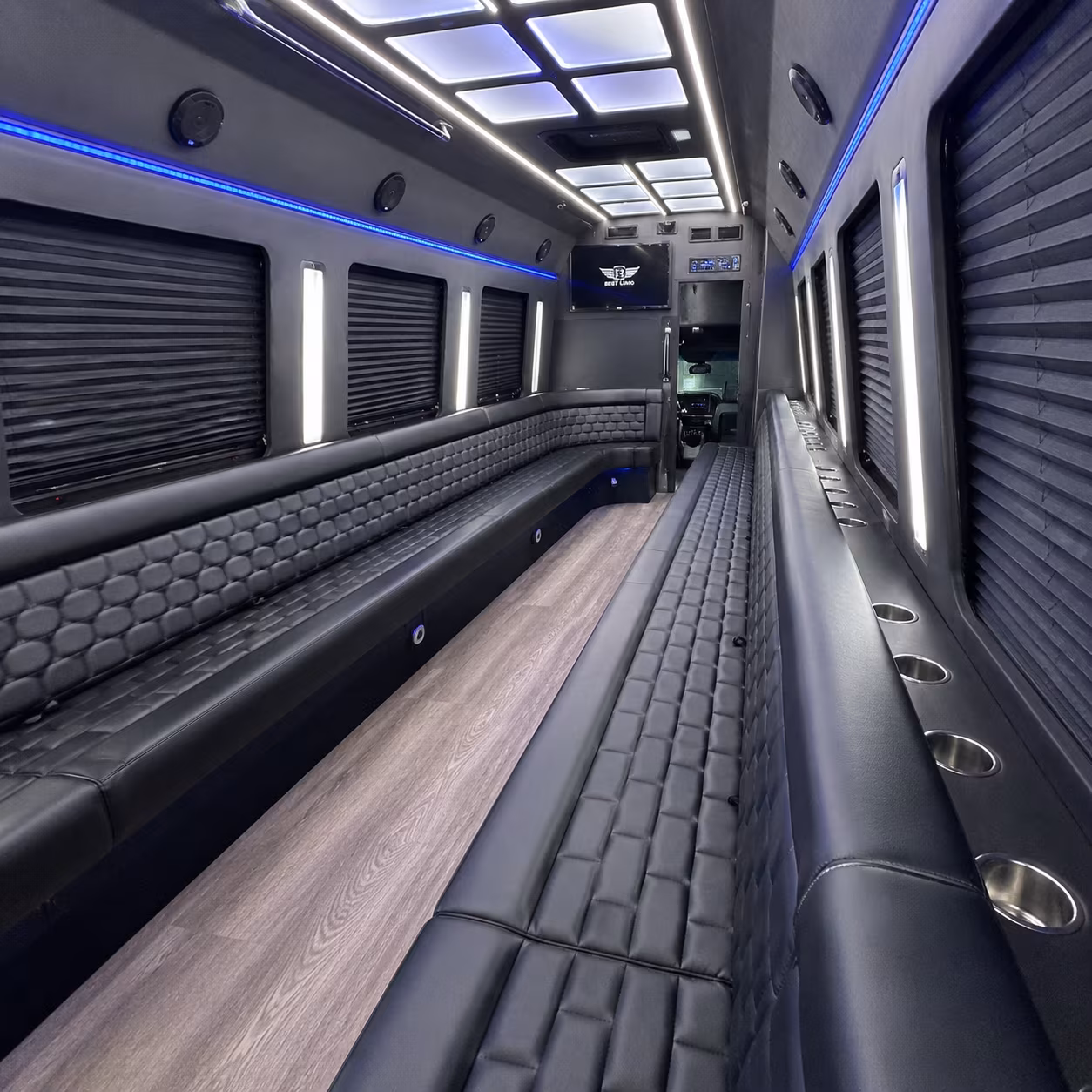 ann arbor night out party bus rental