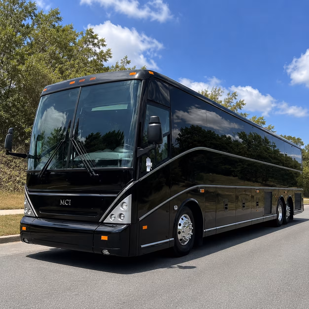 bachelorette and birthday party buses through ann arbor