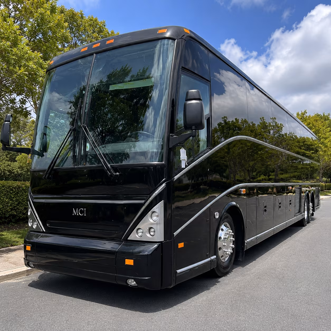 buses for ann arbor field trips to the detroit zoo